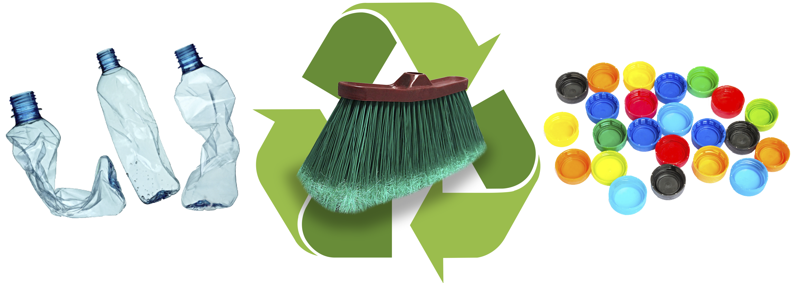 cropped-para-png-copia-1.png